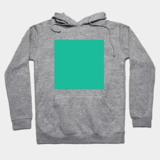 Solid Mountain Meadow Color Hoodie